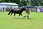 SBM_03903