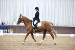 SBM_01655