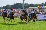 220826-Race 6-Sale Shark-1543
