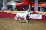 SBM_15983