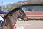 BPP_0528