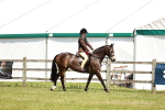 SBM_15770
