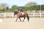SBM_013950