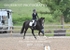 BPP_9524