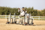 SBM_04046