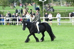 SBM_51858