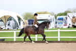 SBM_00249