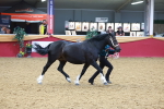 SBM_16717