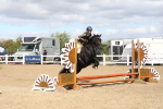 SBM_15169
