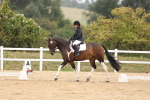 SBM_01693