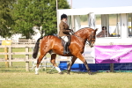 SBM_19608