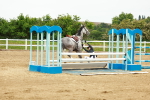 SBM_001081