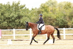 SBM_003781
