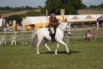 SBM_09697