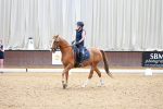 SBM_008393