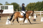 SBM_012601