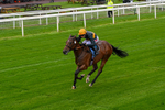 130526-Race 1-Cut A Dash-0056