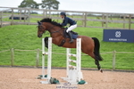 Cls 5 Foxhunter & Open portfolio