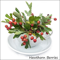 Wild flowers in an cup and saucer portfolio