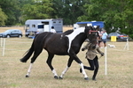 WJ6_5267