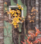 #54 - KILNS OF NORFOLK COUNTY