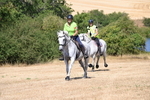 WJ6_8884