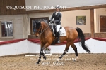 BPP_9290