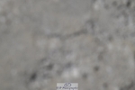 250823A-122733-28834
