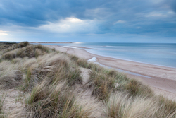 Holkham NNR