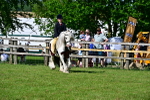 SBM_09405
