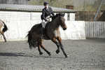 BVRC 050320 0090