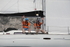 190629 GO-GO GBR4452L D43A4651