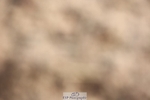 250622-085821-13828