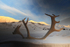 Winter 33