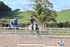BPP_9429