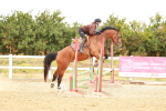 SBM_005054