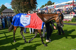 240824-Race 4-Magical Zoe-1252