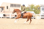 SBM_06798