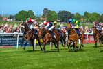 040526-Race 5-Copper Knight-2612
