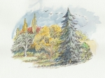 Trees in Clippesby Hall grounds