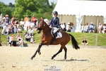 171-SLANEYSIDE_COOLEY-Lara_Chapple-SUNTrotUp+SJ portfolio