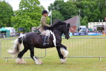SBM_02612