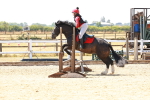 SBM_002590