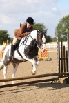 SBM_03349