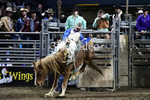 Tucker Curracato_DSC2282