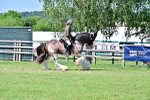 SBM_19363