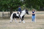 WJ7_4790