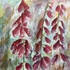 Foxgloves