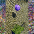 ENTROPY TRIPTYCH Vll-lX