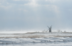 Ashtree Mill